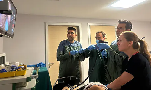 Large Intestine Stent Insertion