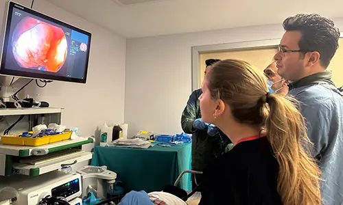Large Intestine Stent Insertion